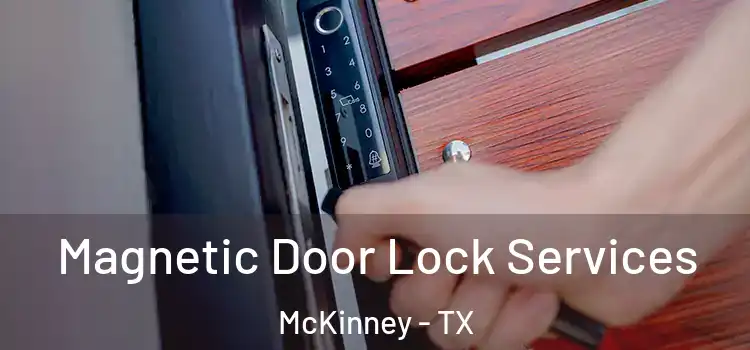 Magnetic Door Lock Services McKinney - TX